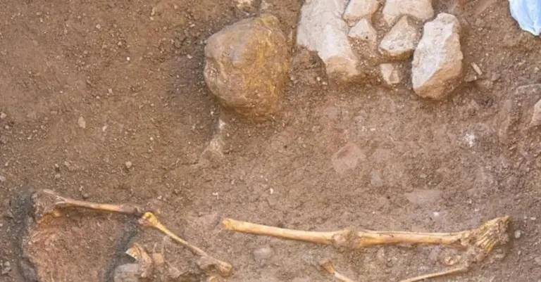 Ludzie prawie wyginęli 900 tys. lat temu: biolog wyjaśnia, co się stało