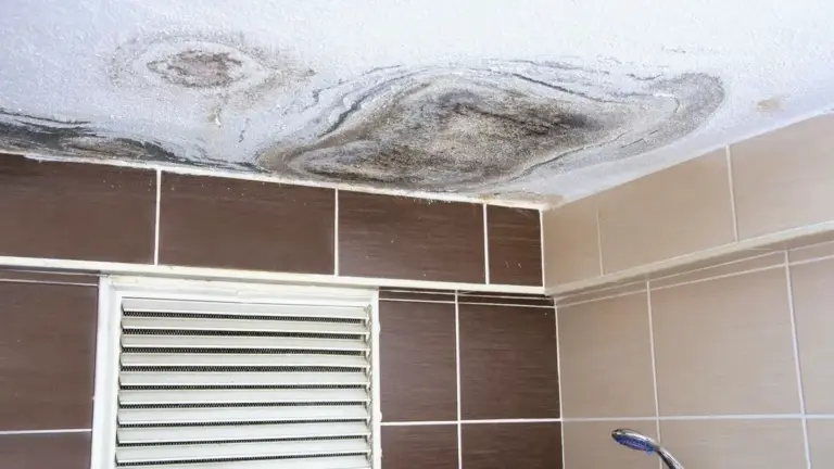 Jak pozbyć się wilgotnego zapachu z łazienki naturalnie: 5 sprawdzonych sposobów
