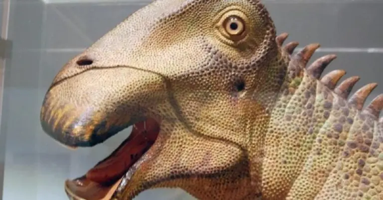 Nigersaurus: Dinozaur sprzed 115 milionów lat, który pasł się jak krowa