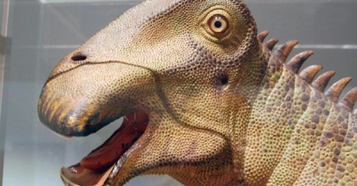 Nigersaurus: Dinozaur sprzed 115 milionów lat, który pasł się jak krowa