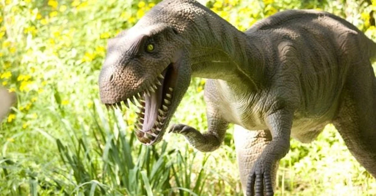 Zdumiewające ślady odkrywają: Małe dinozaury pędziły szybciej niż rowerzyści