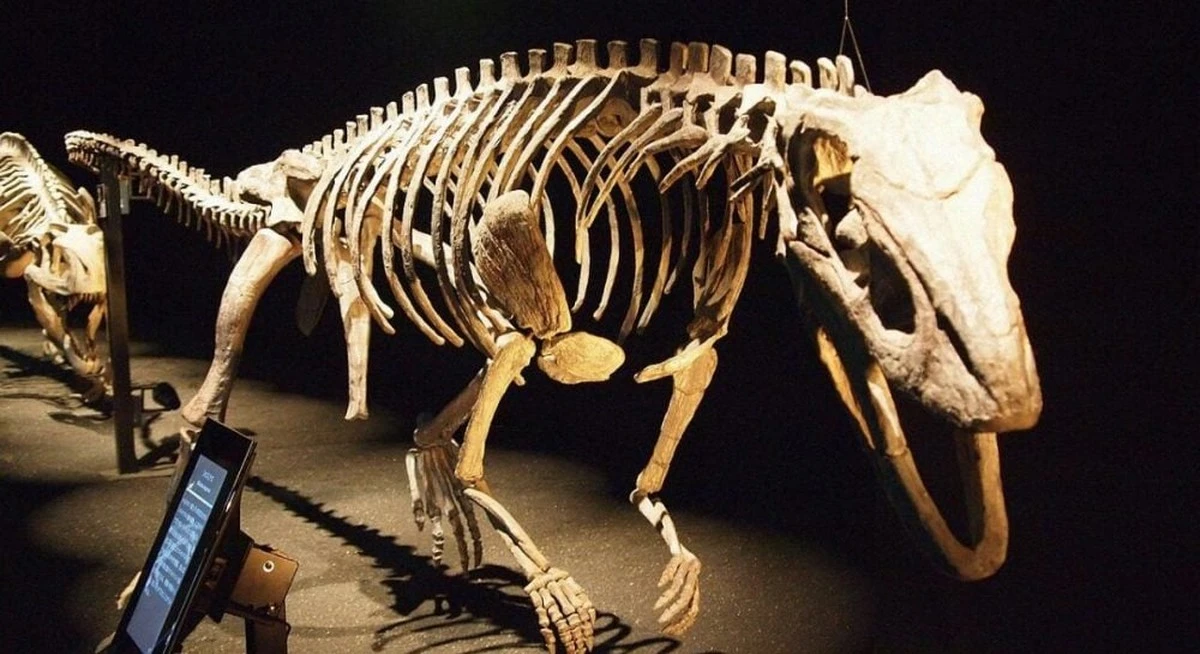 Dwunożne "krokodyle" z Arizony: Naukowcy odkryli gatunek przypominający dinozaury-strusie