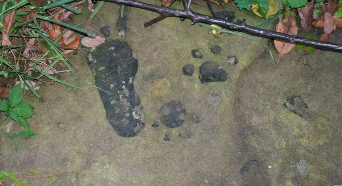 Tajemnicze ślady na 1000-letniej skale w USA: Odkrycie, które zadziwia naukowców